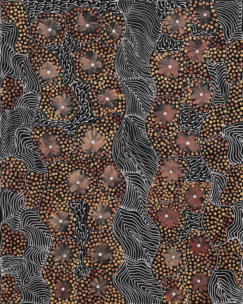 Aboriginal Artwork by Grace Napangardi Butcher, Pikilyi Jukurrpa (Vaughan Springs Dreaming), 50x40cm