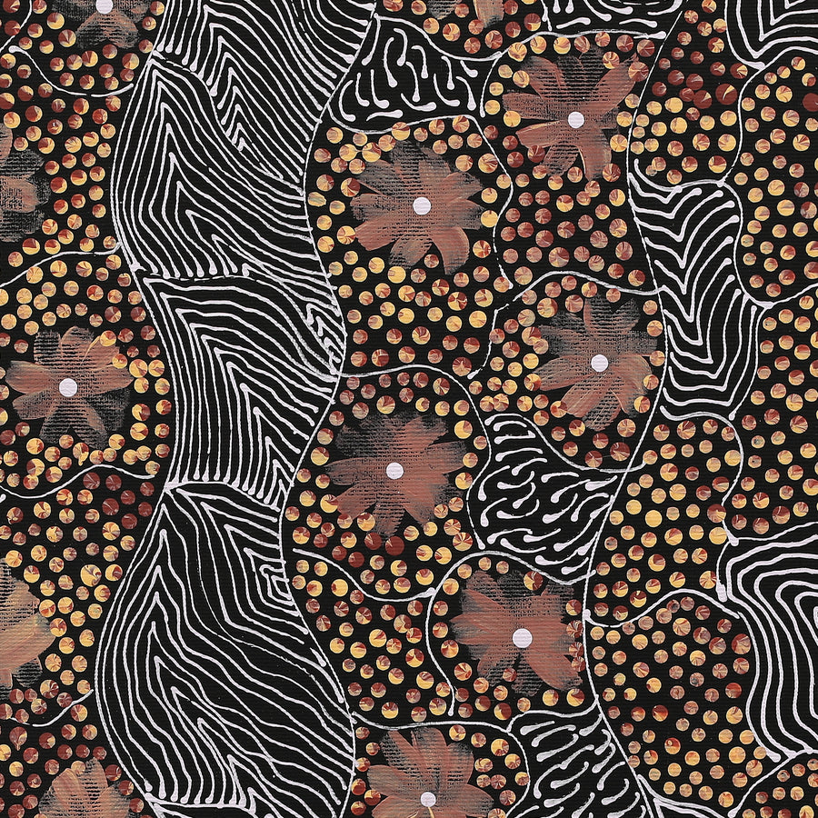Aboriginal Artwork by Grace Napangardi Butcher, Pikilyi Jukurrpa (Vaughan Springs Dreaming), 50x40cm