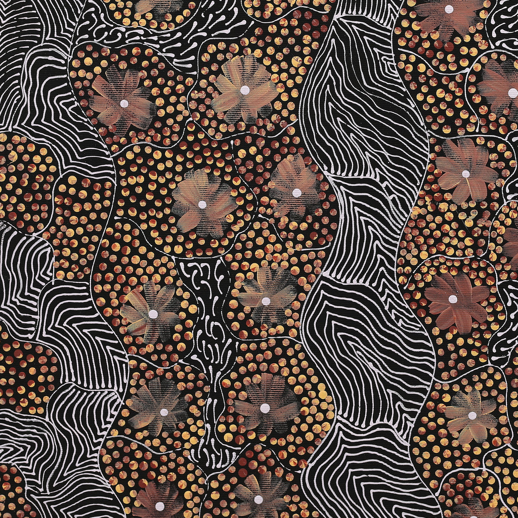 Aboriginal Artwork by Grace Napangardi Butcher, Pikilyi Jukurrpa (Vaughan Springs Dreaming), 50x40cm