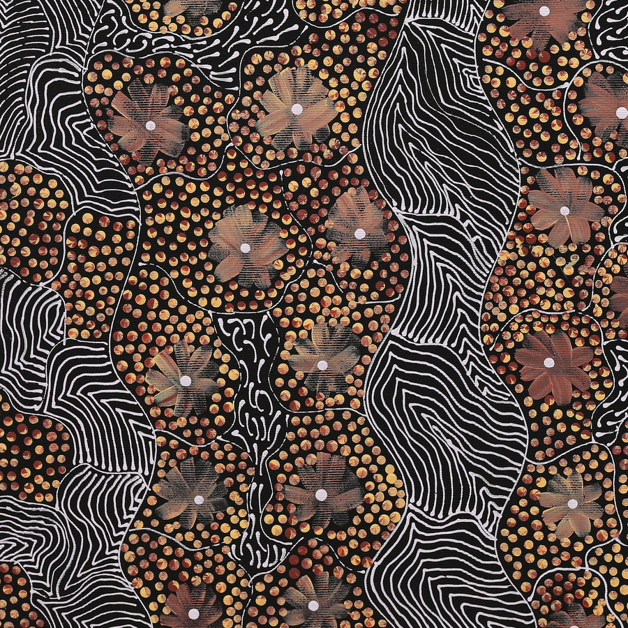 Aboriginal Artwork by Grace Napangardi Butcher, Pikilyi Jukurrpa (Vaughan Springs Dreaming), 50x40cm