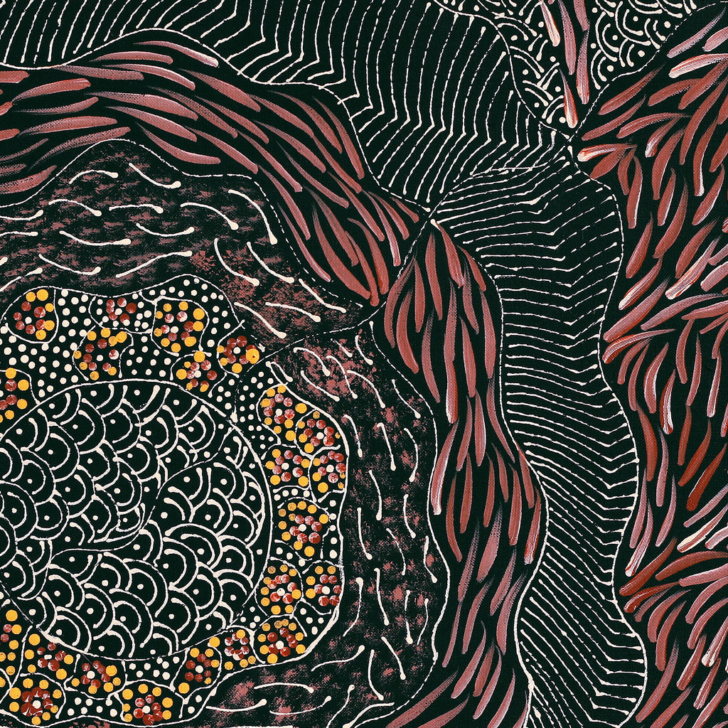 Aboriginal Artwork by Grace Napangardi Butcher, Pikilyi Jukurrpa (Vaughan Springs Dreaming), 46x46cm