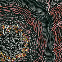 Aboriginal Artwork by Grace Napangardi Butcher, Pikilyi Jukurrpa (Vaughan Springs Dreaming), 46x46cm