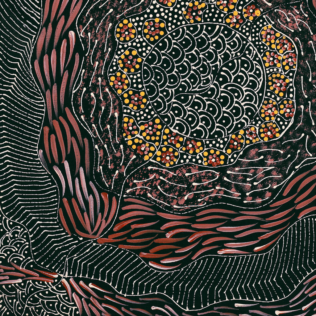 Aboriginal Artwork by Grace Napangardi Butcher, Pikilyi Jukurrpa (Vaughan Springs Dreaming), 46x46cm