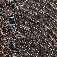 Aboriginal Artwork by Grace Napangardi Butcher, Pikilyi Jukurrpa (Vaughan Springs Dreaming), 46x46cm