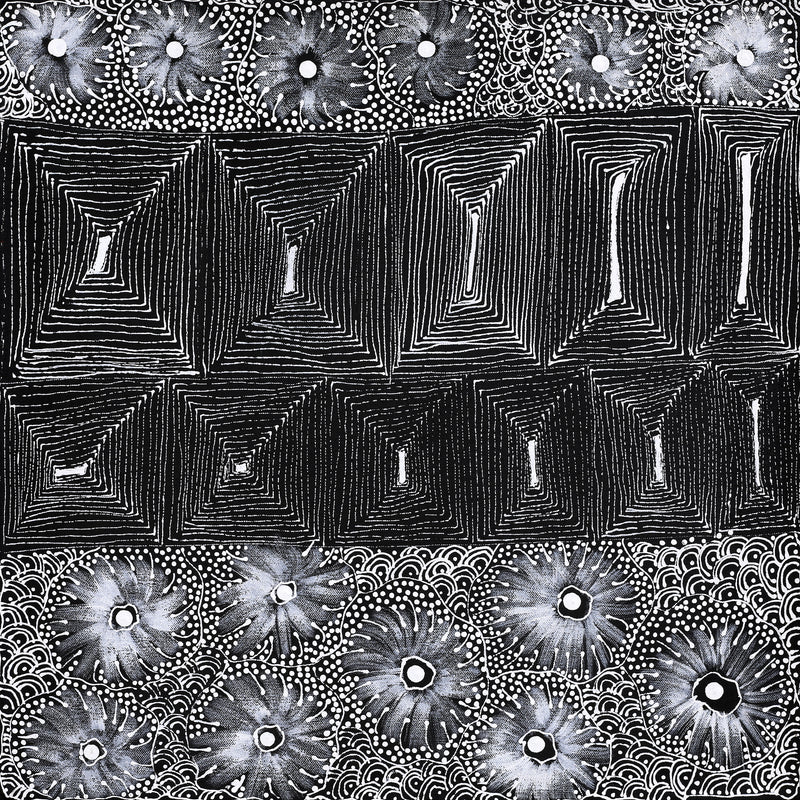 Aboriginal Artwork by Grace Napangardi Butcher, Pikilyi Jukurrpa (Vaughan Springs Dreaming), 46x46cm