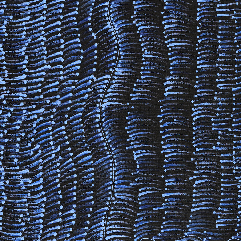 Aboriginal Artwork by Grace Napangardi Butcher, Pikilyi Jukurrpa (Vaughan Springs Dreaming), 61x30cm