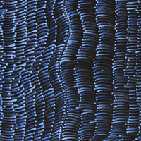 Aboriginal Artwork by Grace Napangardi Butcher, Pikilyi Jukurrpa (Vaughan Springs Dreaming), 61x30cm