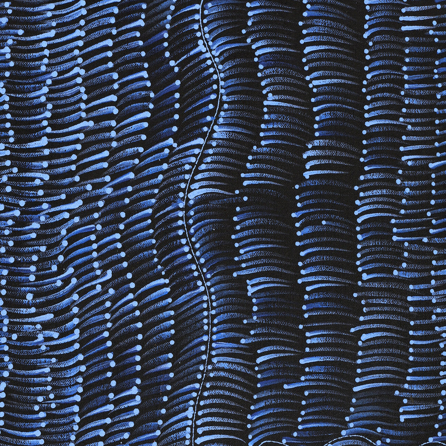 Aboriginal Artwork by Grace Napangardi Butcher, Pikilyi Jukurrpa (Vaughan Springs Dreaming), 61x30cm