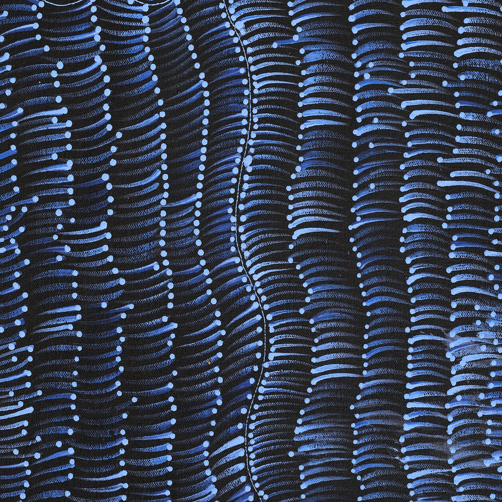 Aboriginal Artwork by Grace Napangardi Butcher, Pikilyi Jukurrpa (Vaughan Springs Dreaming), 61x30cm