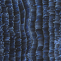 Aboriginal Artwork by Grace Napangardi Butcher, Pikilyi Jukurrpa (Vaughan Springs Dreaming), 61x30cm