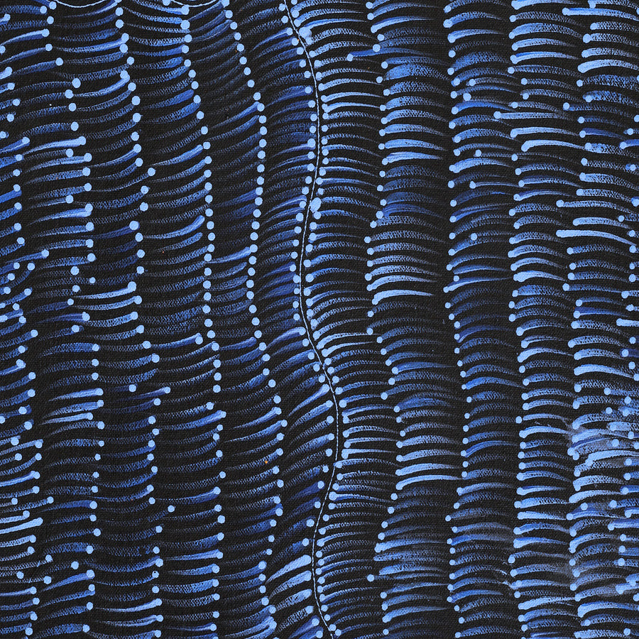 Aboriginal Artwork by Grace Napangardi Butcher, Pikilyi Jukurrpa (Vaughan Springs Dreaming), 61x30cm