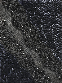 Aboriginal Artwork by Grace Napangardi Butcher, Pikilyi Jukurrpa (Vaughan Springs Dreaming), 61x46cm