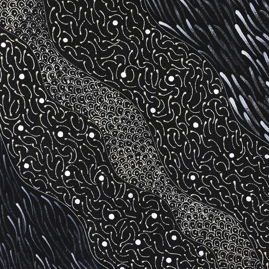 Aboriginal Artwork by Grace Napangardi Butcher, Pikilyi Jukurrpa (Vaughan Springs Dreaming), 61x46cm
