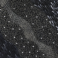 Aboriginal Artwork by Grace Napangardi Butcher, Pikilyi Jukurrpa (Vaughan Springs Dreaming), 61x46cm