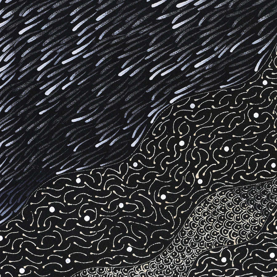 Aboriginal Artwork by Grace Napangardi Butcher, Pikilyi Jukurrpa (Vaughan Springs Dreaming), 61x46cm