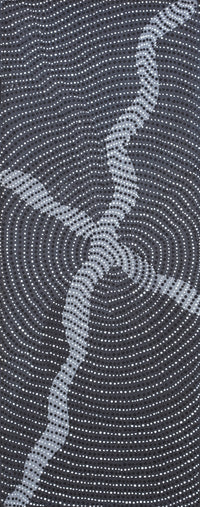 Aboriginal Artwork by Grace Napangardi Butcher, Pikilyi Jukurrpa (Vaughan Springs Dreaming), 76x30cm