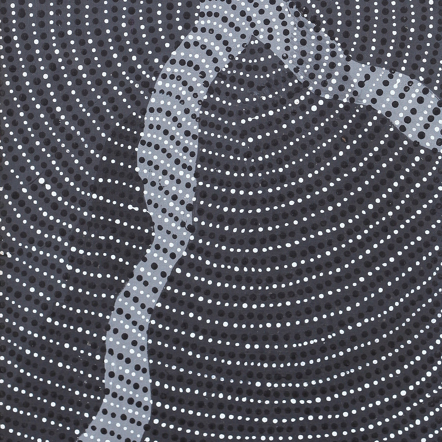 Aboriginal Artwork by Grace Napangardi Butcher, Pikilyi Jukurrpa (Vaughan Springs Dreaming), 76x30cm