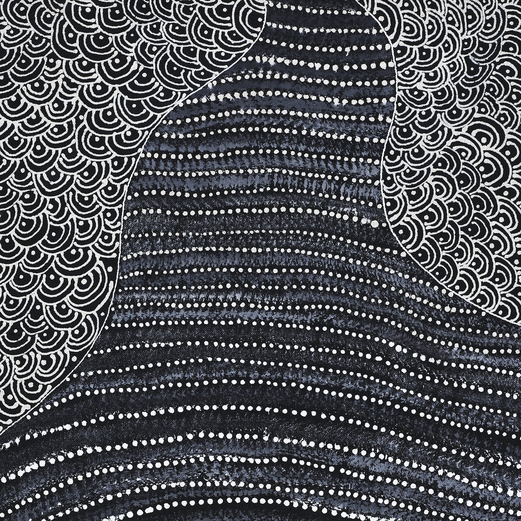 Aboriginal Artwork by Grace Napangardi Butcher, Pikilyi Jukurrpa (Vaughan Springs Dreaming), 76x46cm