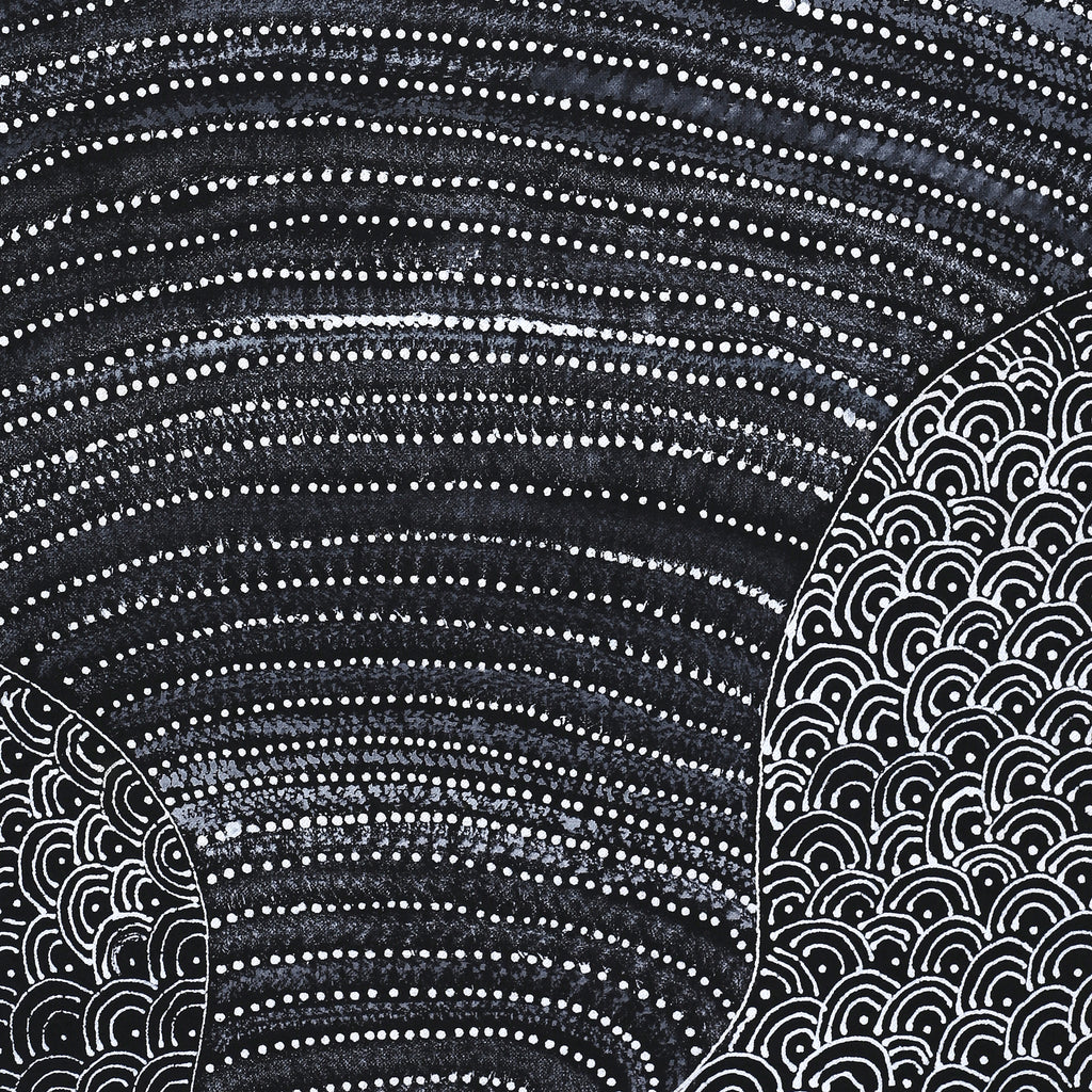 Aboriginal Artwork by Grace Napangardi Butcher, Pikilyi Jukurrpa (Vaughan Springs Dreaming), 76x46cm