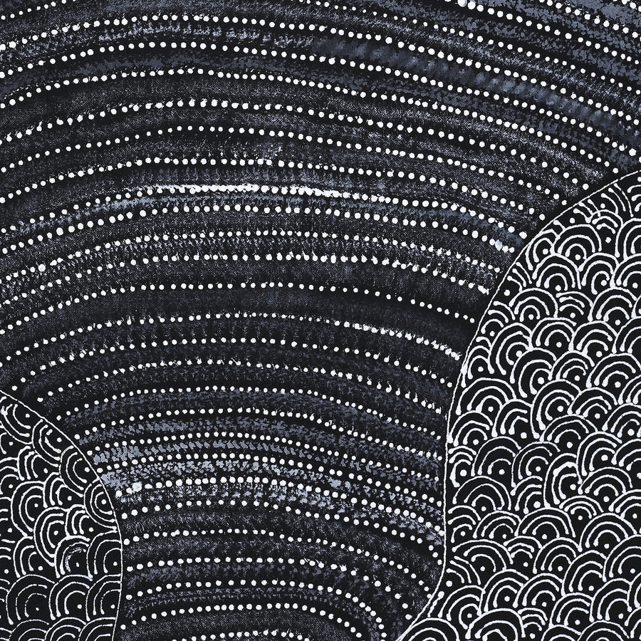 Aboriginal Artwork by Grace Napangardi Butcher, Pikilyi Jukurrpa (Vaughan Springs Dreaming), 76x46cm