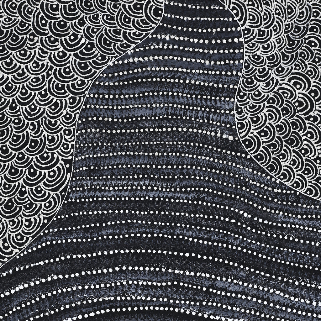 Aboriginal Artwork by Grace Napangardi Butcher, Pikilyi Jukurrpa (Vaughan Springs Dreaming), 76x46cm - ART ARK®