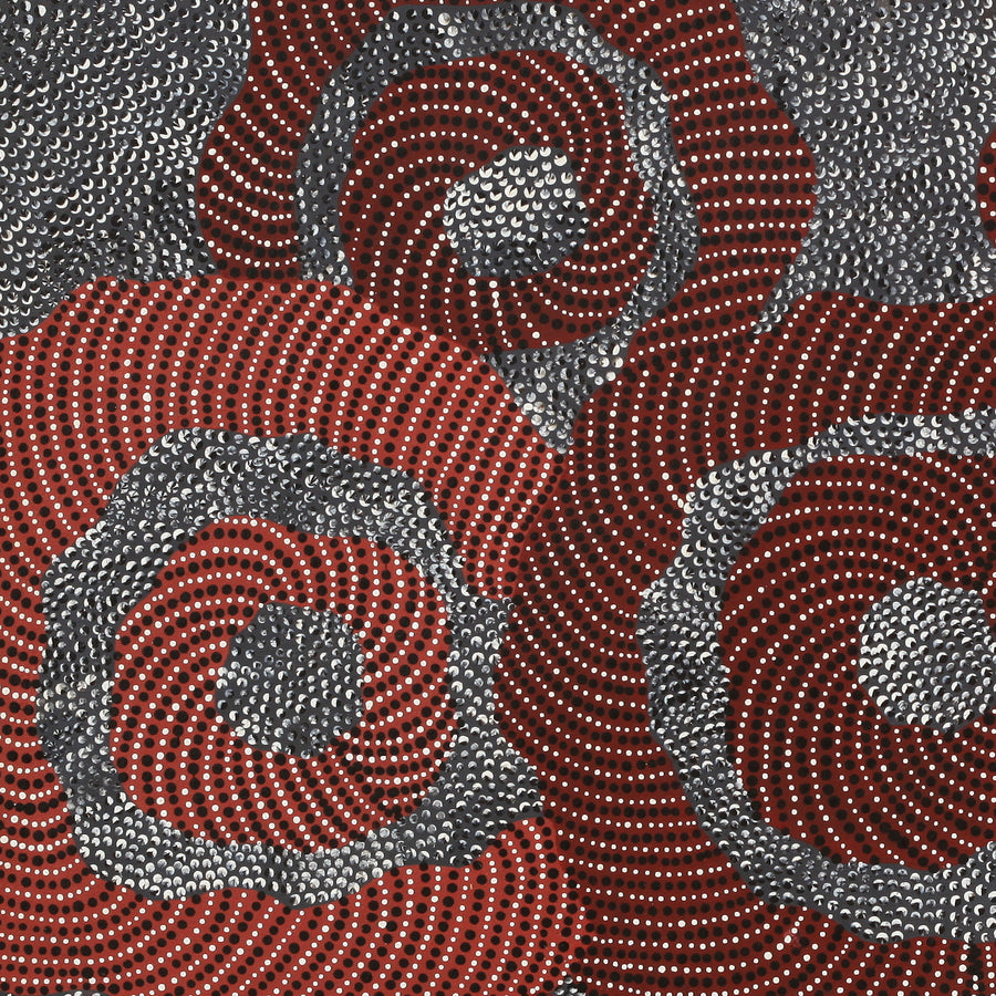 Aboriginal Artwork by Grace Napangardi Butcher, Pikilyi Jukurrpa (Vaughan Springs Dreaming), 76x61cm
