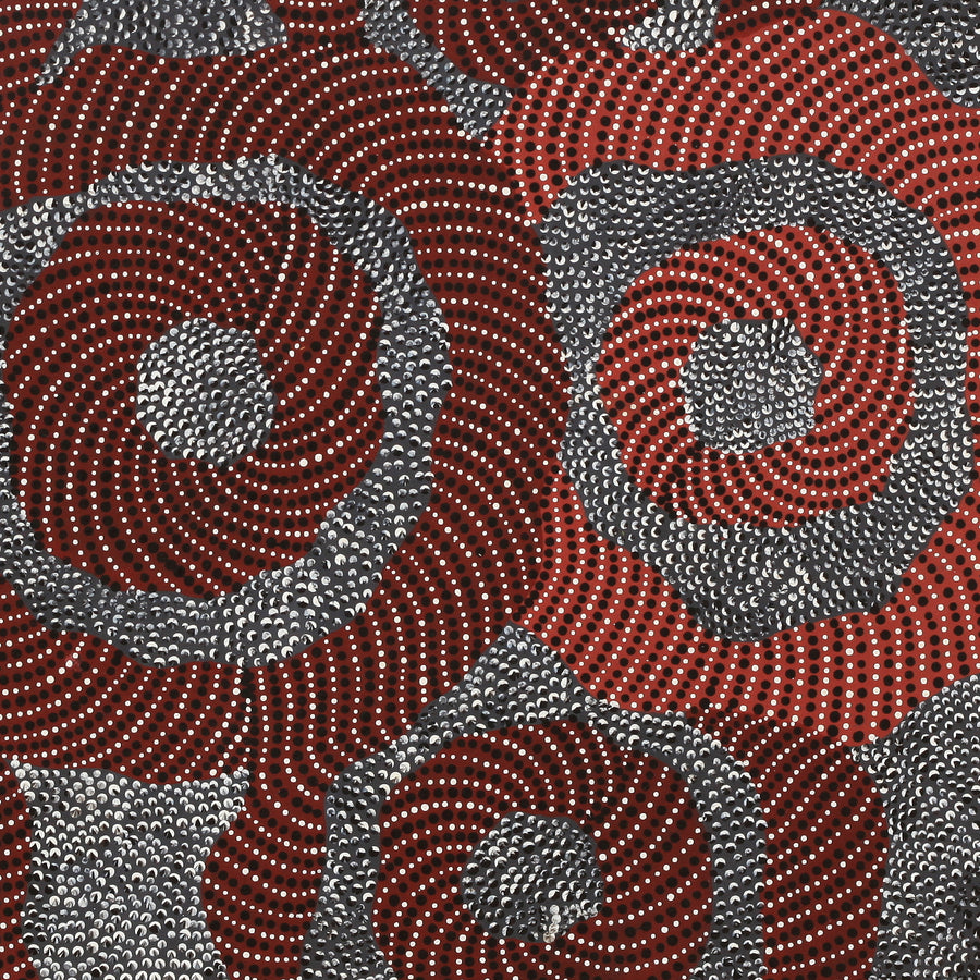 Aboriginal Artwork by Grace Napangardi Butcher, Pikilyi Jukurrpa (Vaughan Springs Dreaming), 76x61cm