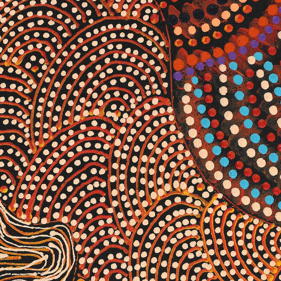 Aboriginal Artwork by Grace Napangardi Butcher, Pikilyi Jukurrpa (Vaughan Springs Dreaming), 76x61cm