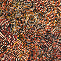 Aboriginal Artwork by Grace Napangardi Butcher, Pikilyi Jukurrpa (Vaughan Springs Dreaming), 76x61cm