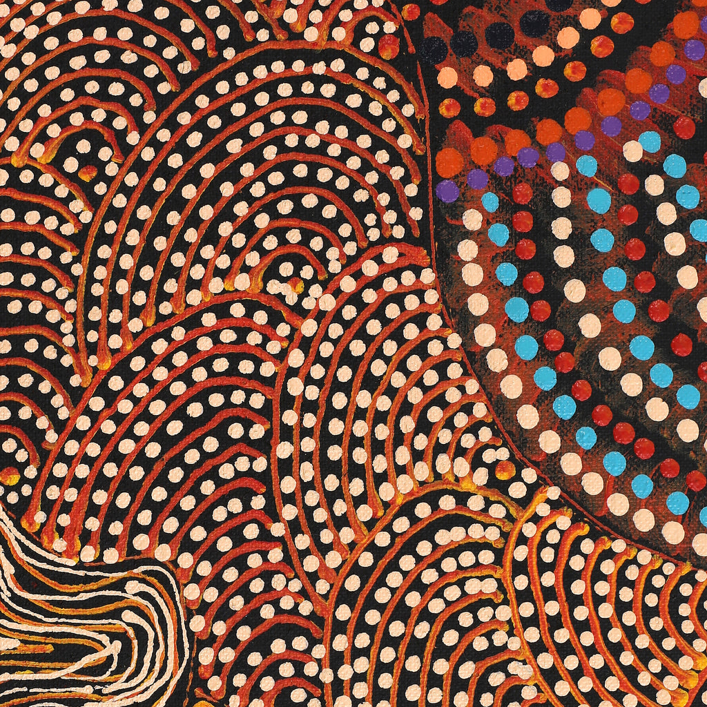 Aboriginal Artwork by Grace Napangardi Butcher, Pikilyi Jukurrpa (Vaughan Springs Dreaming), 76x61cm - ART ARK®