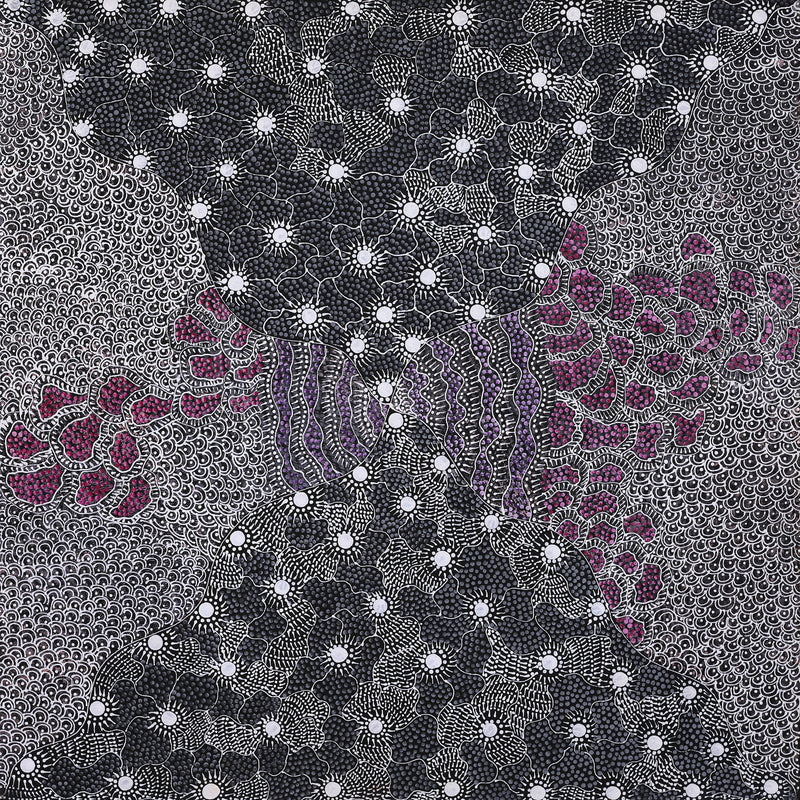 Aboriginal Artwork by Grace Napangardi Butcher, Pikilyi Jukurrpa (Vaughan Springs Dreaming), 76x76cm