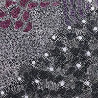 Aboriginal Artwork by Grace Napangardi Butcher, Pikilyi Jukurrpa (Vaughan Springs Dreaming), 76x76cm