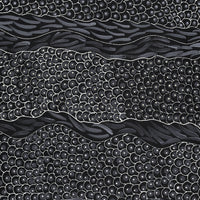 Aboriginal Artwork by Grace Napangardi Butcher, Pikilyi Jukurrpa (Vaughan Springs Dreaming), 91x46cm