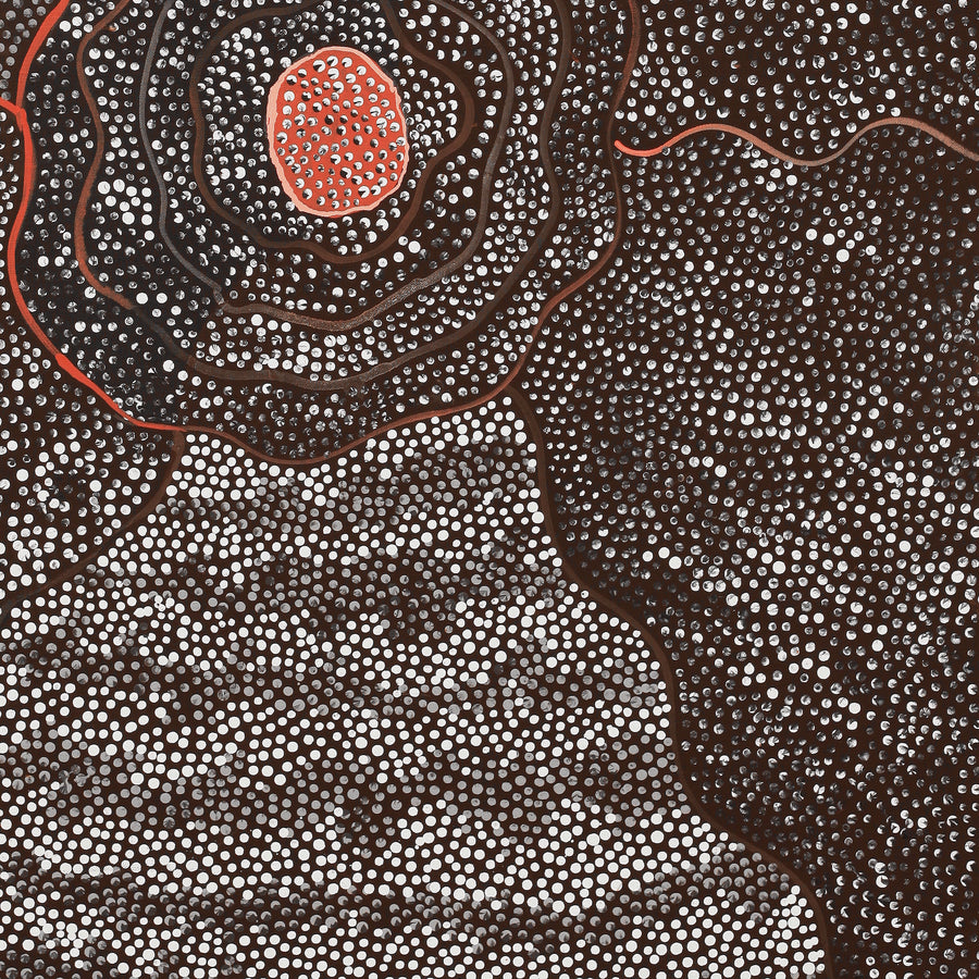 Aboriginal Artwork by Grace Napangardi Butcher, Pikilyi Jukurrpa (Vaughan Springs Dreaming), 91x61cm