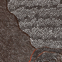 Aboriginal Artwork by Grace Napangardi Butcher, Pikilyi Jukurrpa (Vaughan Springs Dreaming), 91x61cm