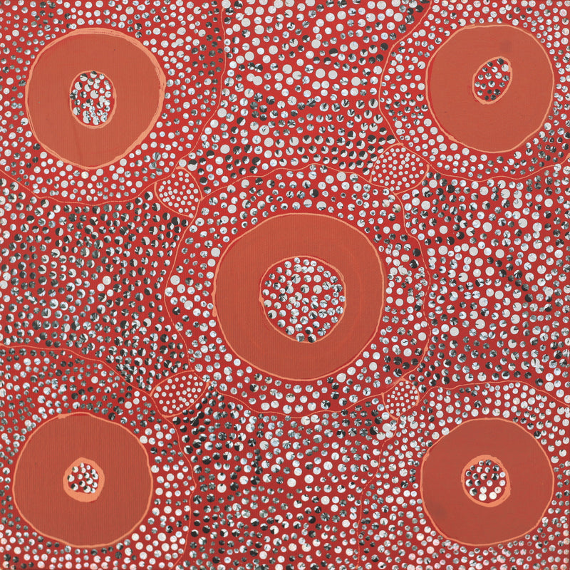 Aboriginal Artwork by Grace Napangardi Butcher, Pikilyi Jukurrpa (Vaughan Springs Dreaming), 30x30cm