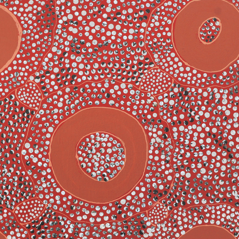 Aboriginal Artwork by Grace Napangardi Butcher, Pikilyi Jukurrpa (Vaughan Springs Dreaming), 30x30cm