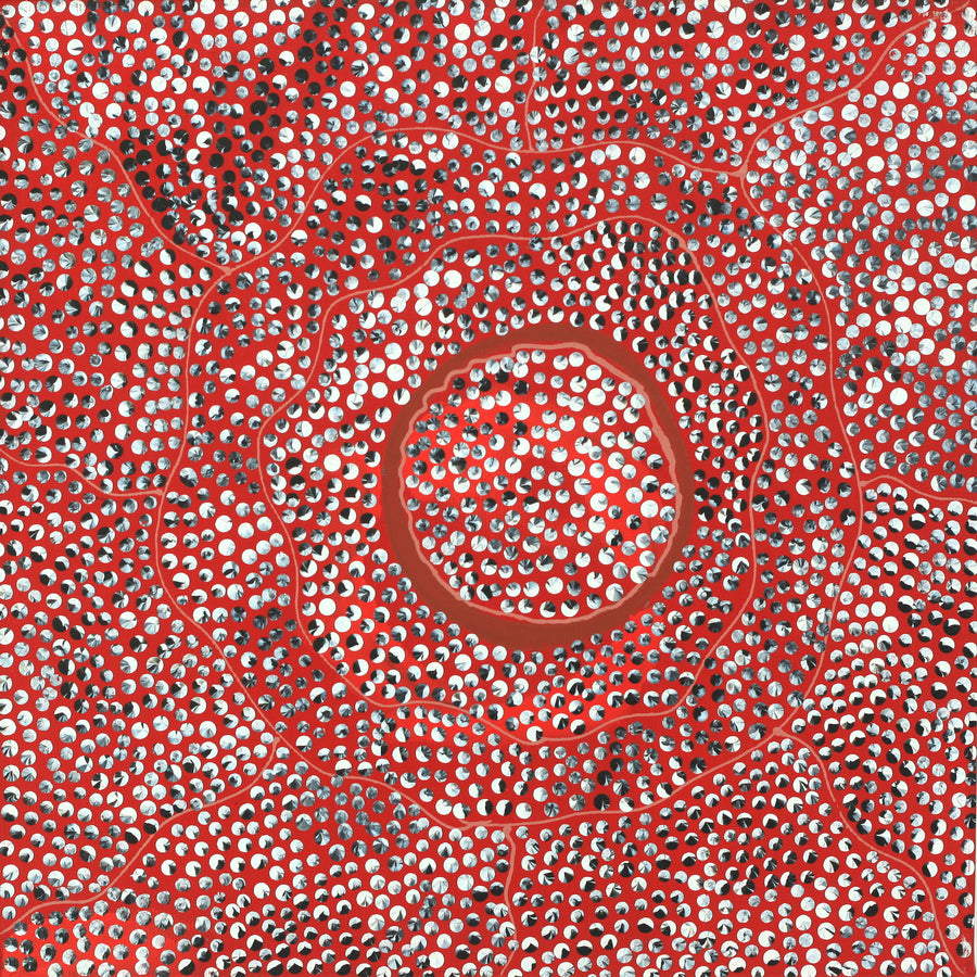 Aboriginal Artwork by Grace Napangardi Butcher, Pikilyi Jukurrpa (Vaughan Springs Dreaming), 30x30cm