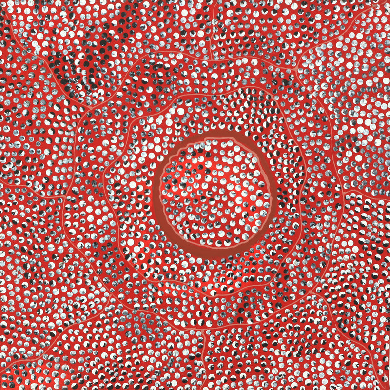 Aboriginal Artwork by Grace Napangardi Butcher, Pikilyi Jukurrpa (Vaughan Springs Dreaming), 30x30cm