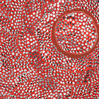 Aboriginal Artwork by Grace Napangardi Butcher, Pikilyi Jukurrpa (Vaughan Springs Dreaming), 30x30cm