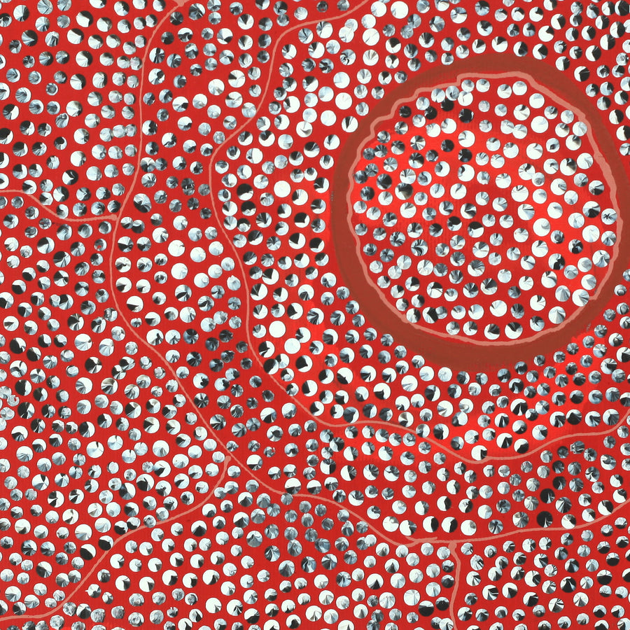 Aboriginal Artwork by Grace Napangardi Butcher, Pikilyi Jukurrpa (Vaughan Springs Dreaming), 30x30cm