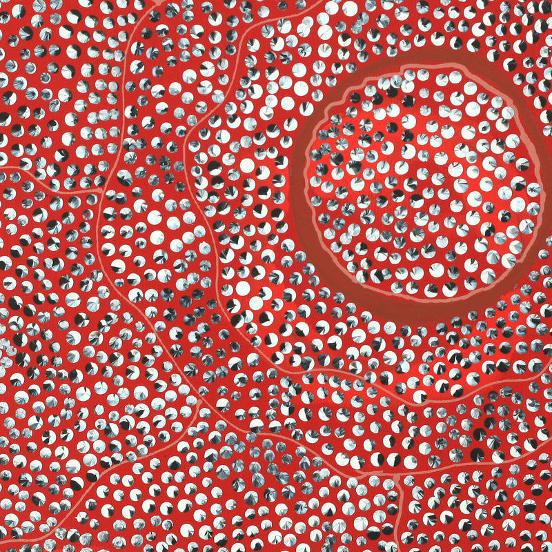 Aboriginal Artwork by Grace Napangardi Butcher, Pikilyi Jukurrpa (Vaughan Springs Dreaming), 30x30cm