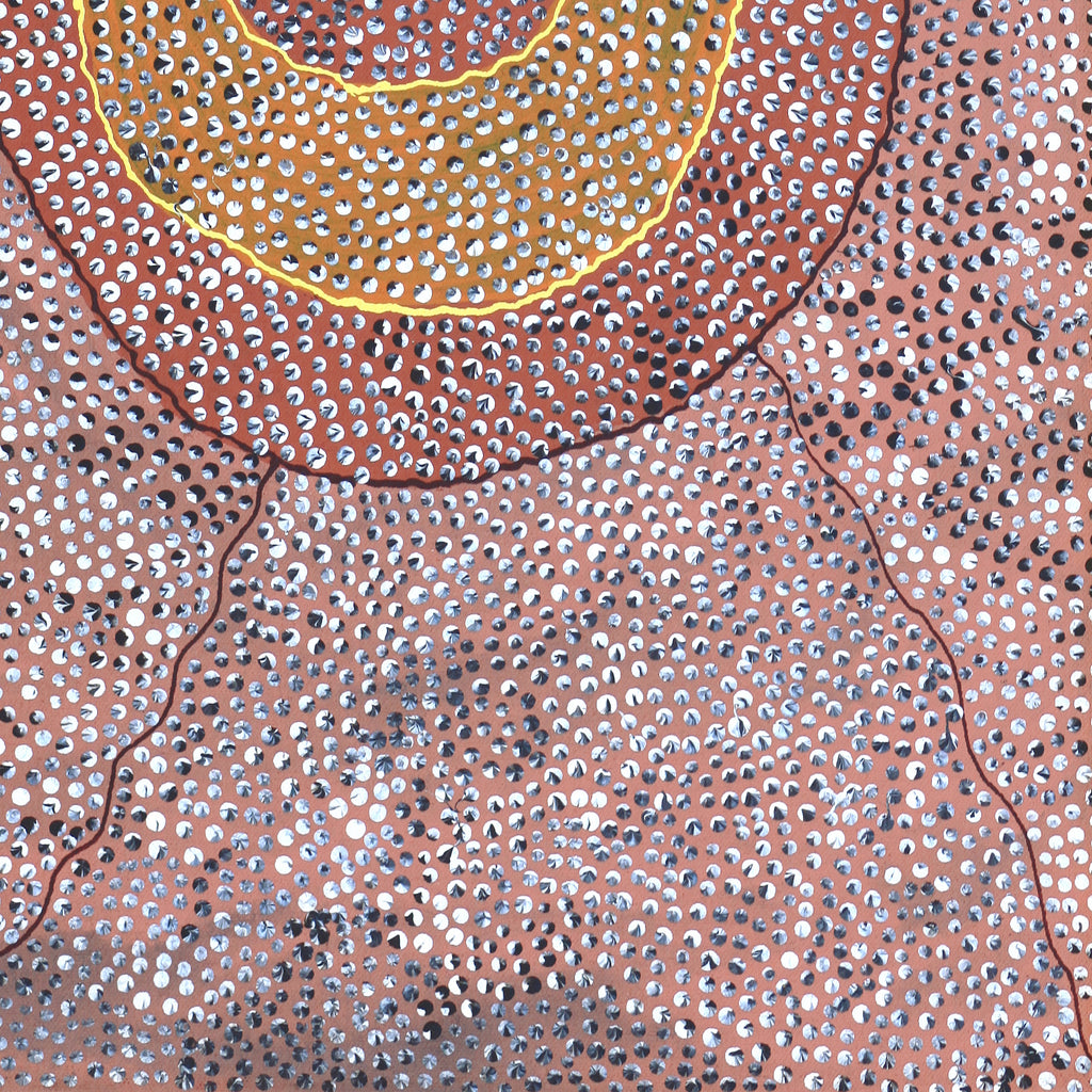 Aboriginal Artwork by Grace Napangardi Butcher, Pikilyi Jukurrpa (Vaughan Springs Dreaming), 61x30cm
