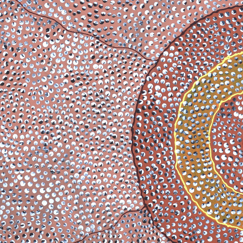 Aboriginal Artwork by Grace Napangardi Butcher, Pikilyi Jukurrpa (Vaughan Springs Dreaming), 61x30cm