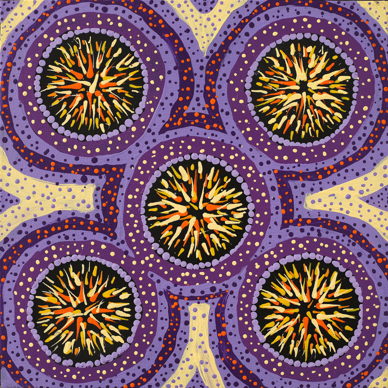 Aboriginal Artwork by Graeson Jupurrurla Nelio, Patterns of the Landscape around Yuendumu, 30x30cm