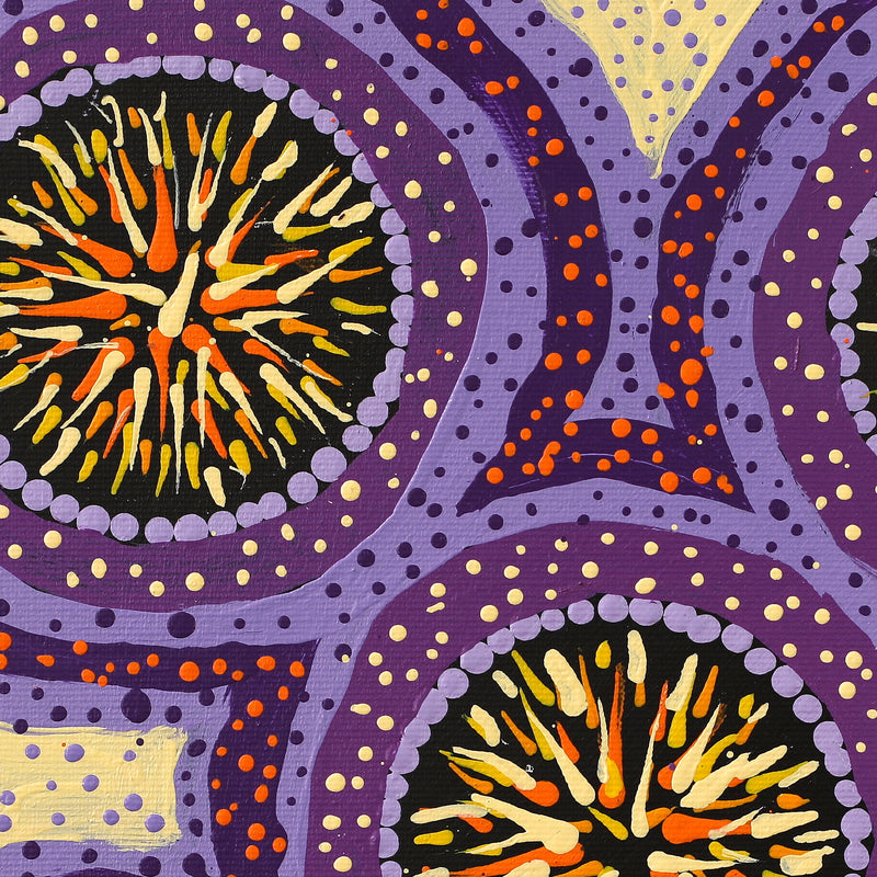 Aboriginal Artwork by Graeson Jupurrurla Nelio, Patterns of the Landscape around Yuendumu, 30x30cm