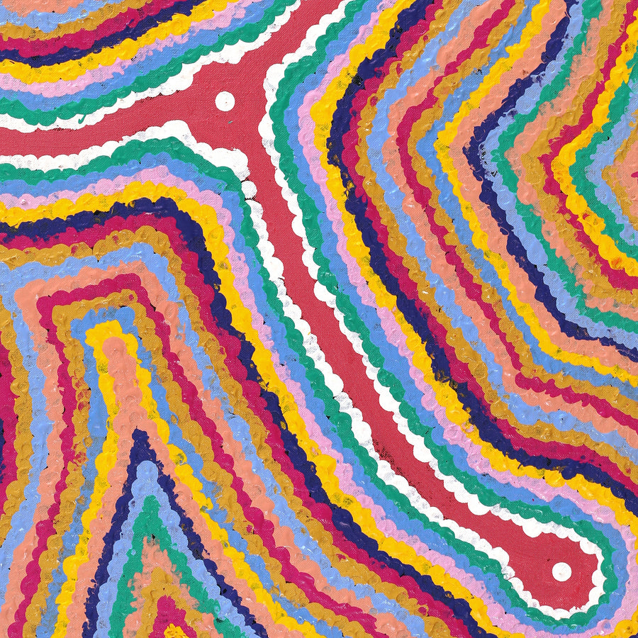 Aboriginal Artwork by Gregory Jupurrurla Gill, Lukarrara Jukurrpa, 61x46cm