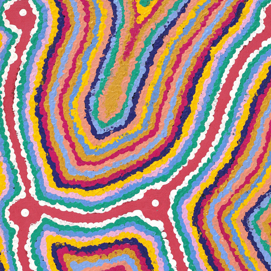 Aboriginal Artwork by Gregory Jupurrurla Gill, Lukarrara Jukurrpa, 61x46cm