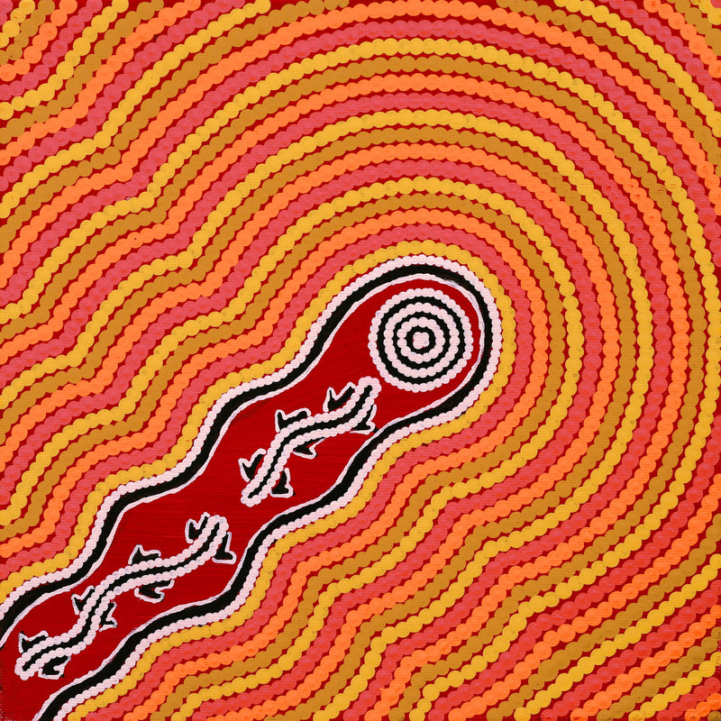 Aboriginal Artwork by Gweneth Napurrurla Nelson, Janganpa Jukurrpa (Brush-tail Possum Dreaming) - Mawurrji, 30x30cm