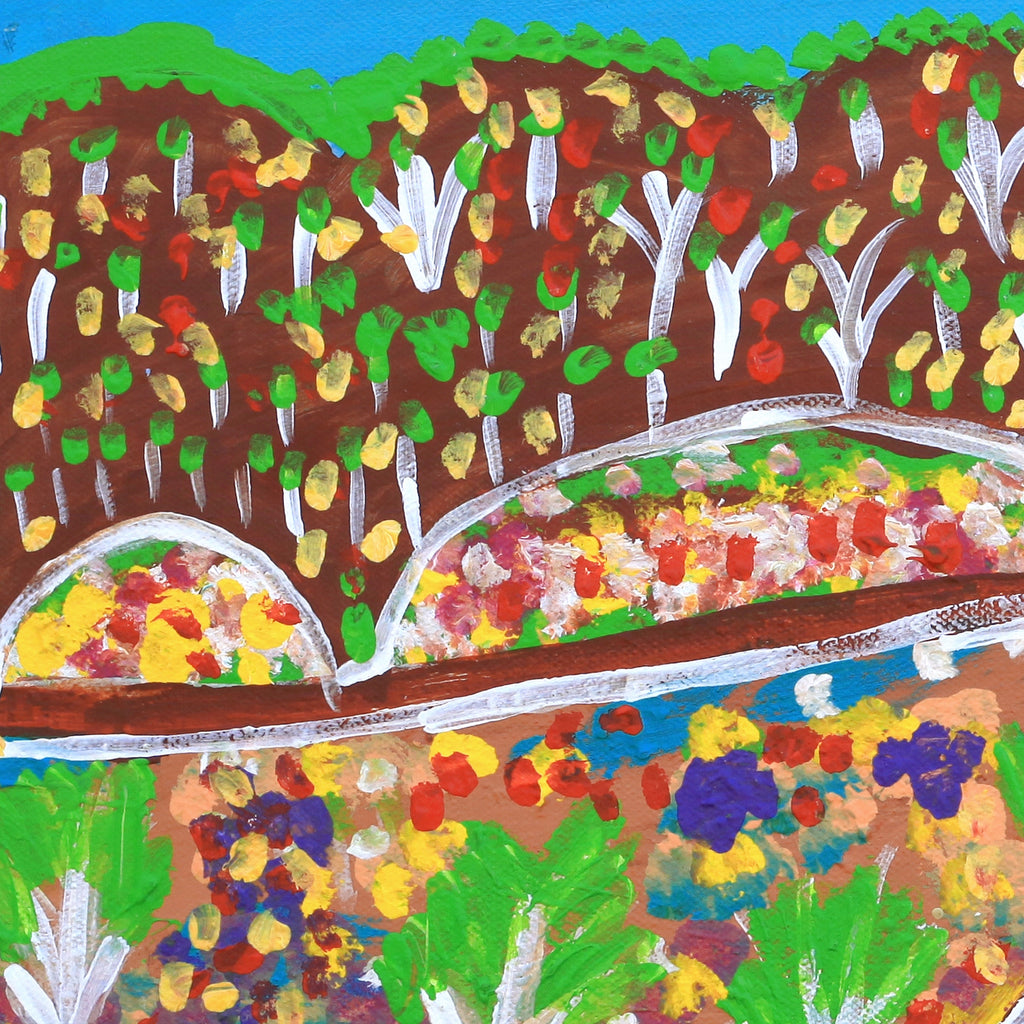 Aboriginal Artwork by Gwenneth Blitner, Bullock Hole, 40x30cm